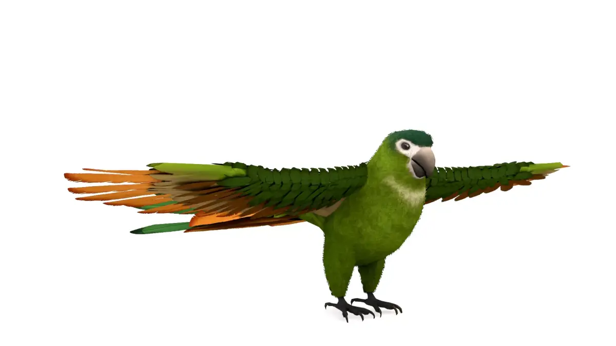 Green Macaw Rigged 3D Model Free low-poly 3D model