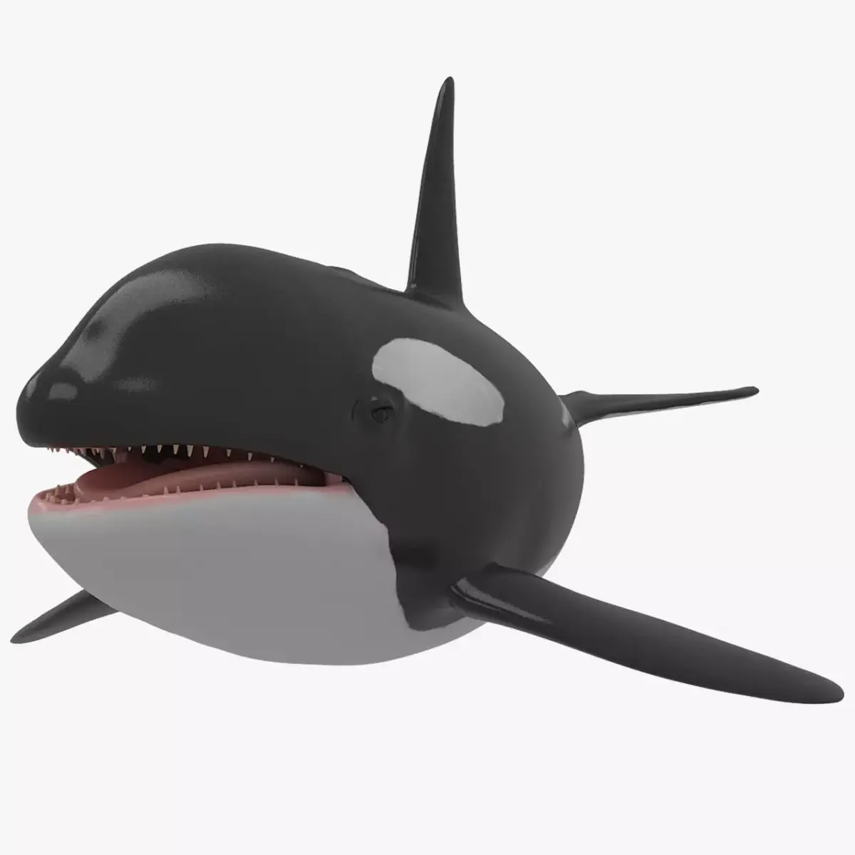 Whale Killer 3D model