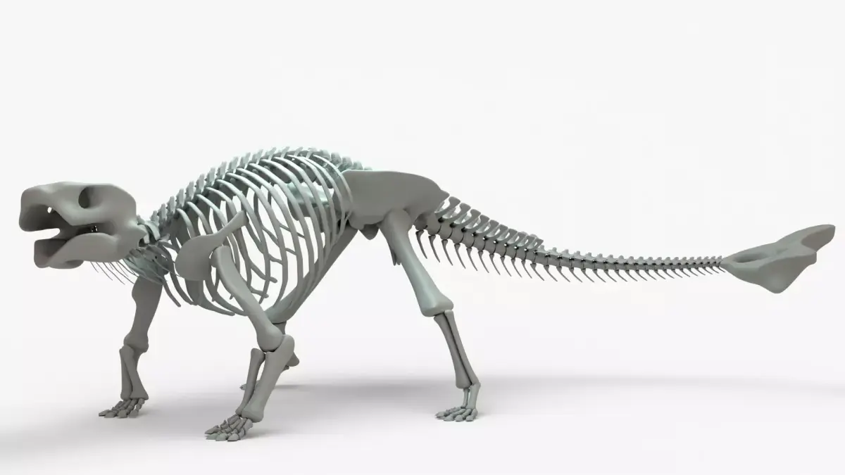 Ankylosaurus Rigged Skeleton Low-poly 3D model