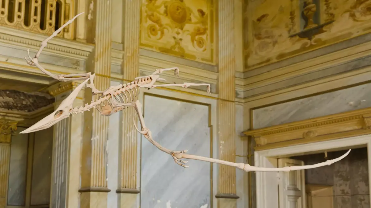 Realistic Ancient Reptilians Fossil - Pteranodon Low-poly 3D model