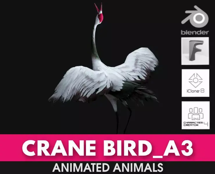 Crane Bird A3 3D model