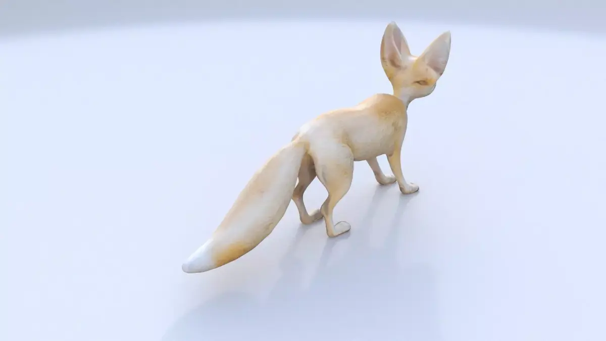 Fennec Fox 3D model