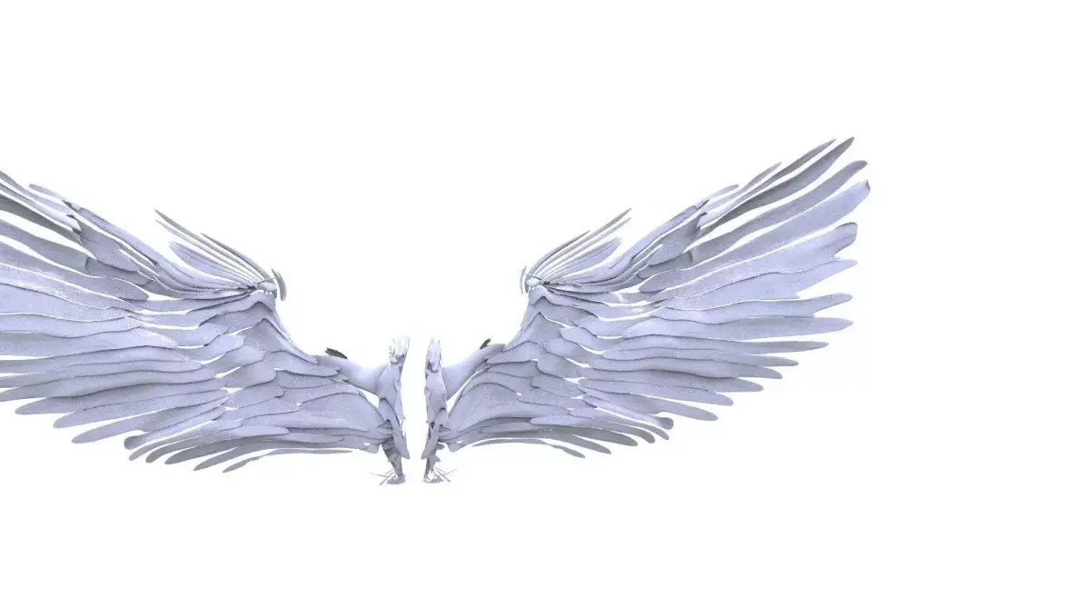 Angel and bird wings 3D model