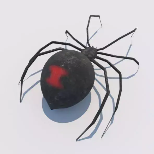 Spider Black Widow 3D model buy