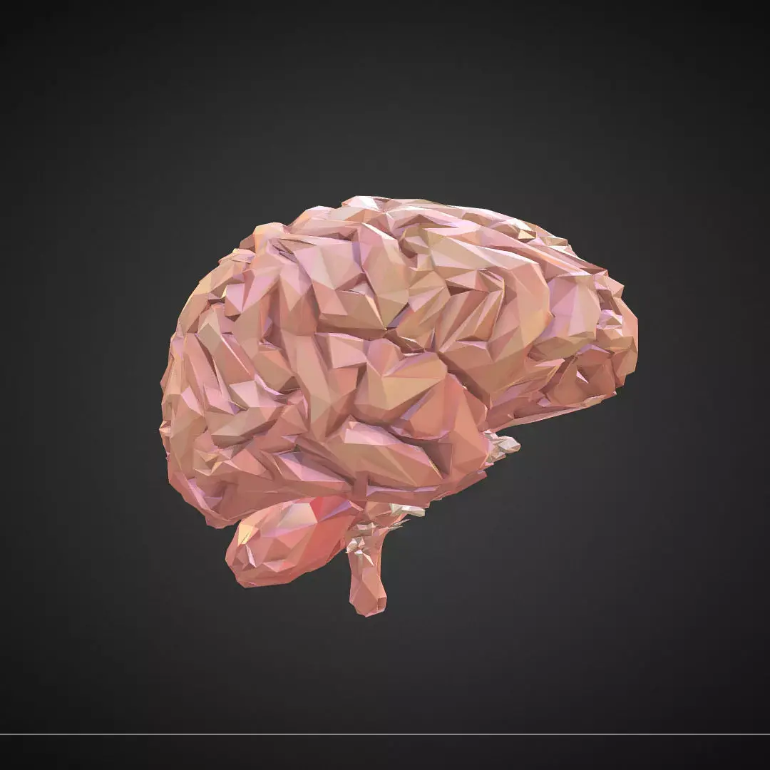 Brain Real Low Polygon Art Medical Low-poly 3D model
