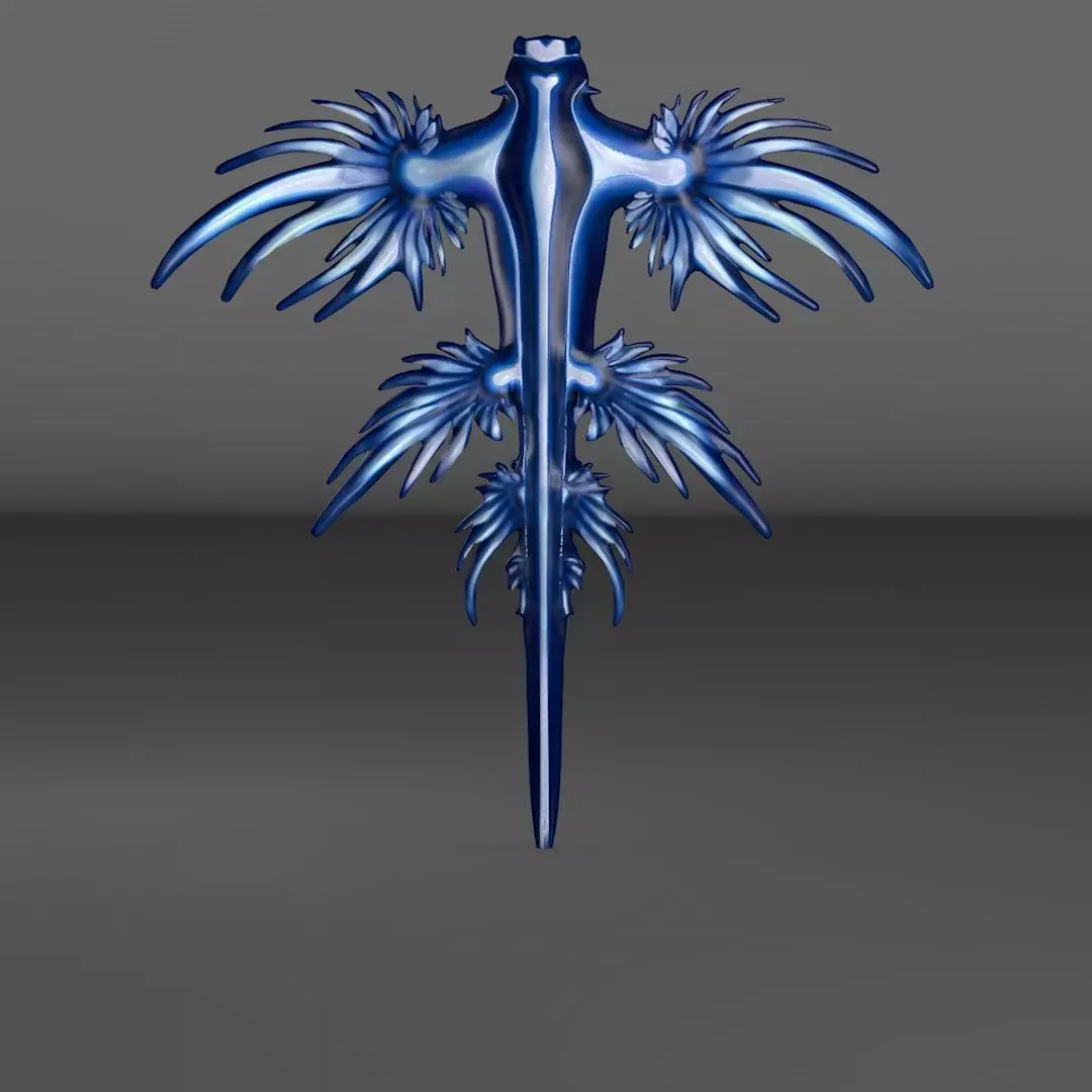 Blue Dragon Glaucus atlanticus 3D model