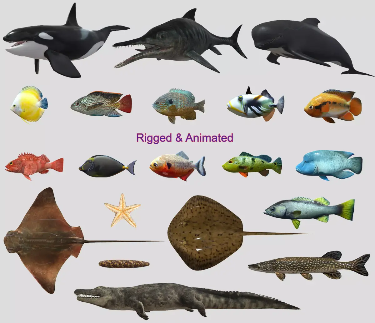 Fish Collection Animated - Game Ready Pack 5 Low-poly 3D model