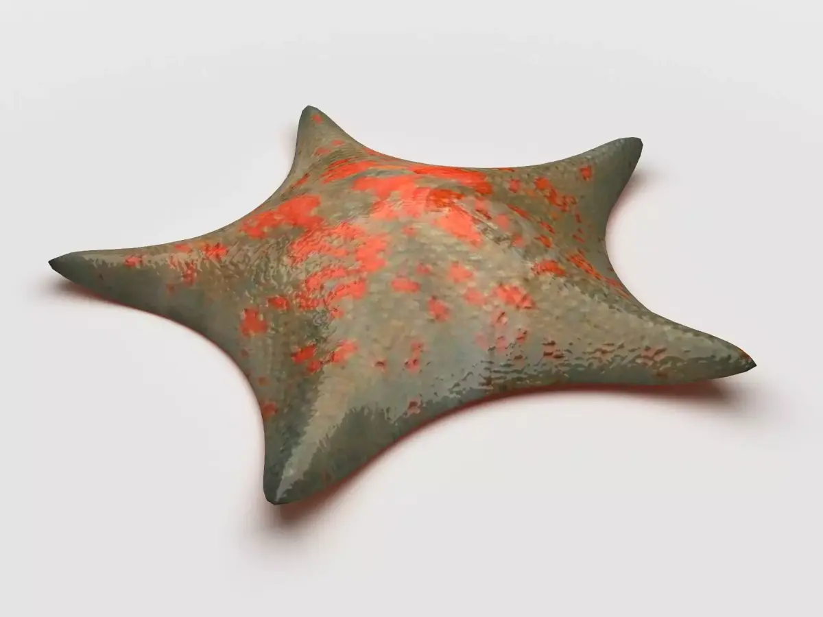 Petrel Sea star Low-poly 3D model