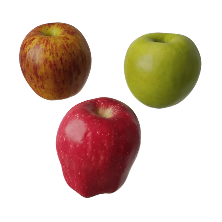  Assorted Apples Fruit Food Model 