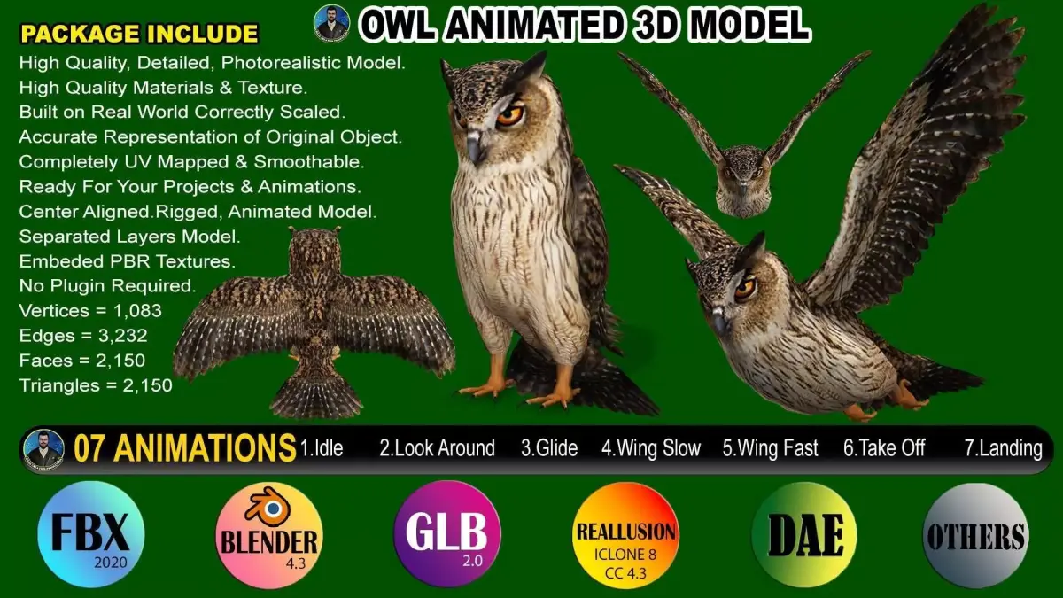 OWL RIGGED ANIMATED 7 Low-poly 3D model