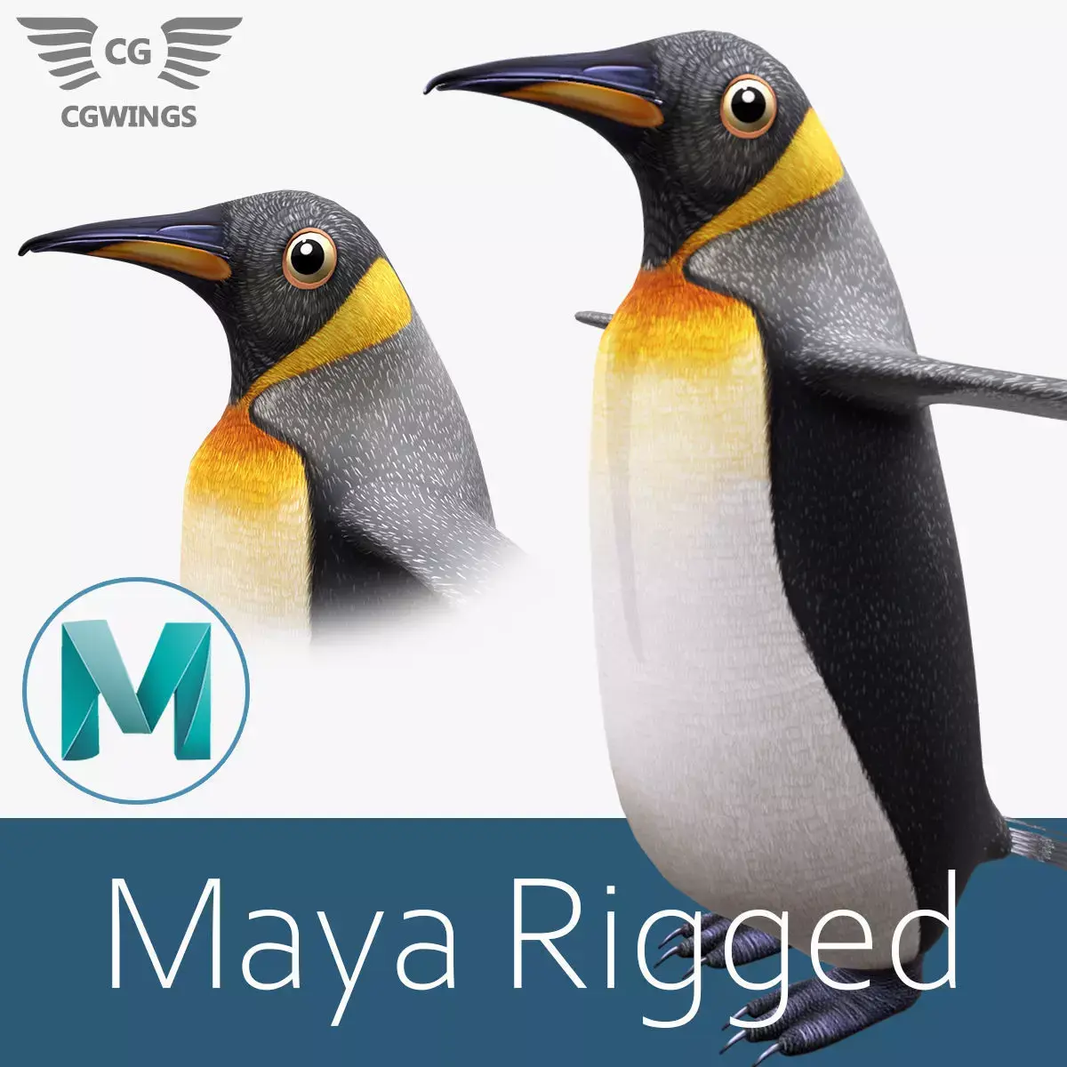 Penguin Low-poly 3D model order