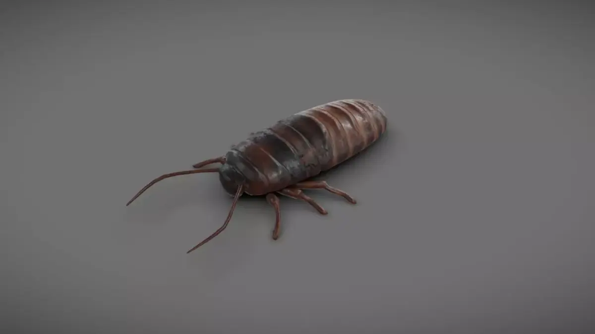 Roach - Read Description Low-poly 3D model purchase