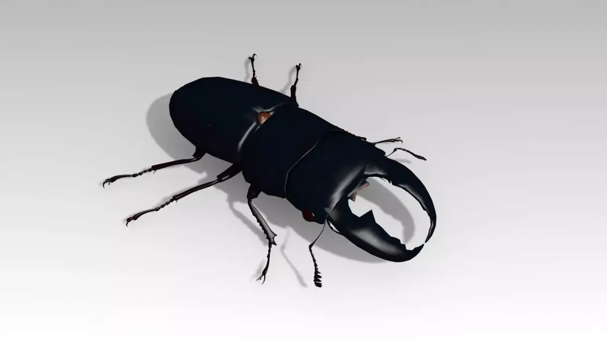 Giant Stag Beetle Low-poly 3D model