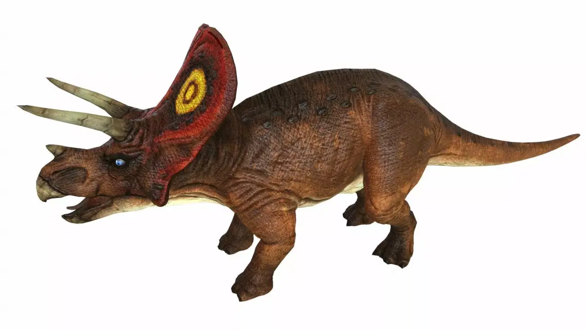 Triceratop Low-poly 3D model