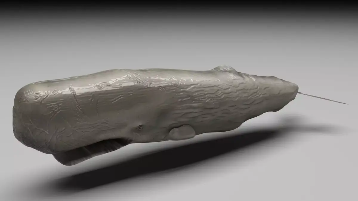Sperm Whale 3D model shop