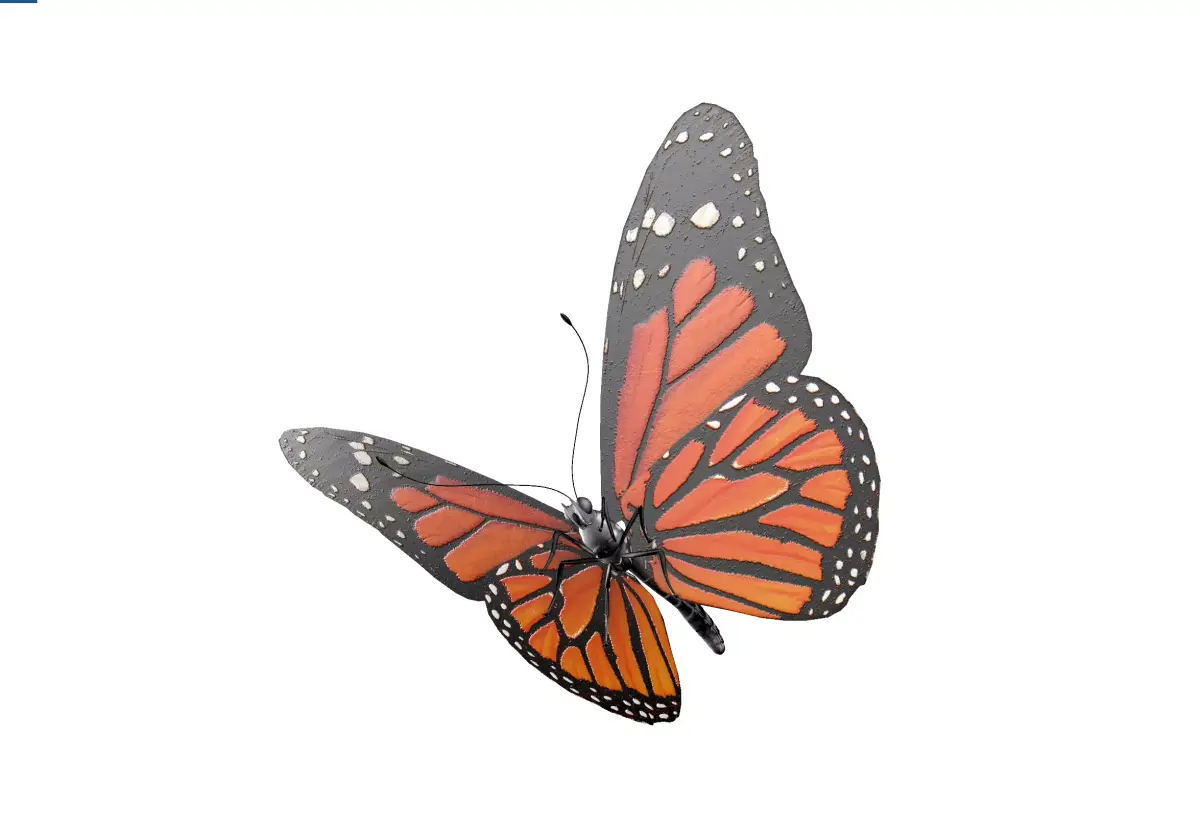 Butterfly orange insect Papillon 3D model