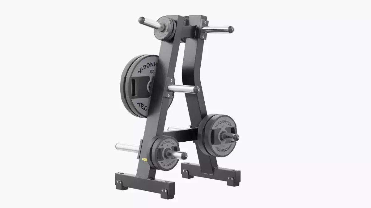 Technogym Disk Rack Pure 3D model