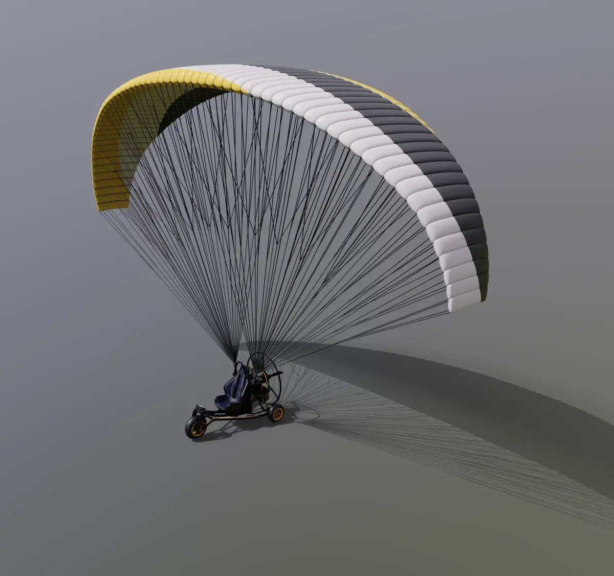 Powered Paraglider 3D model order