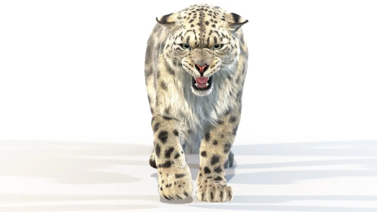 Animated Snow Leopard Fur 3D model