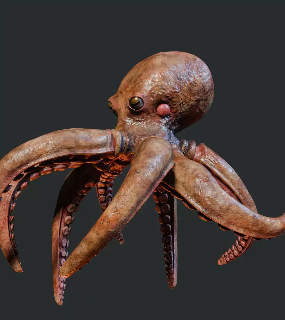 Swimming Octopus Low-poly 3D model