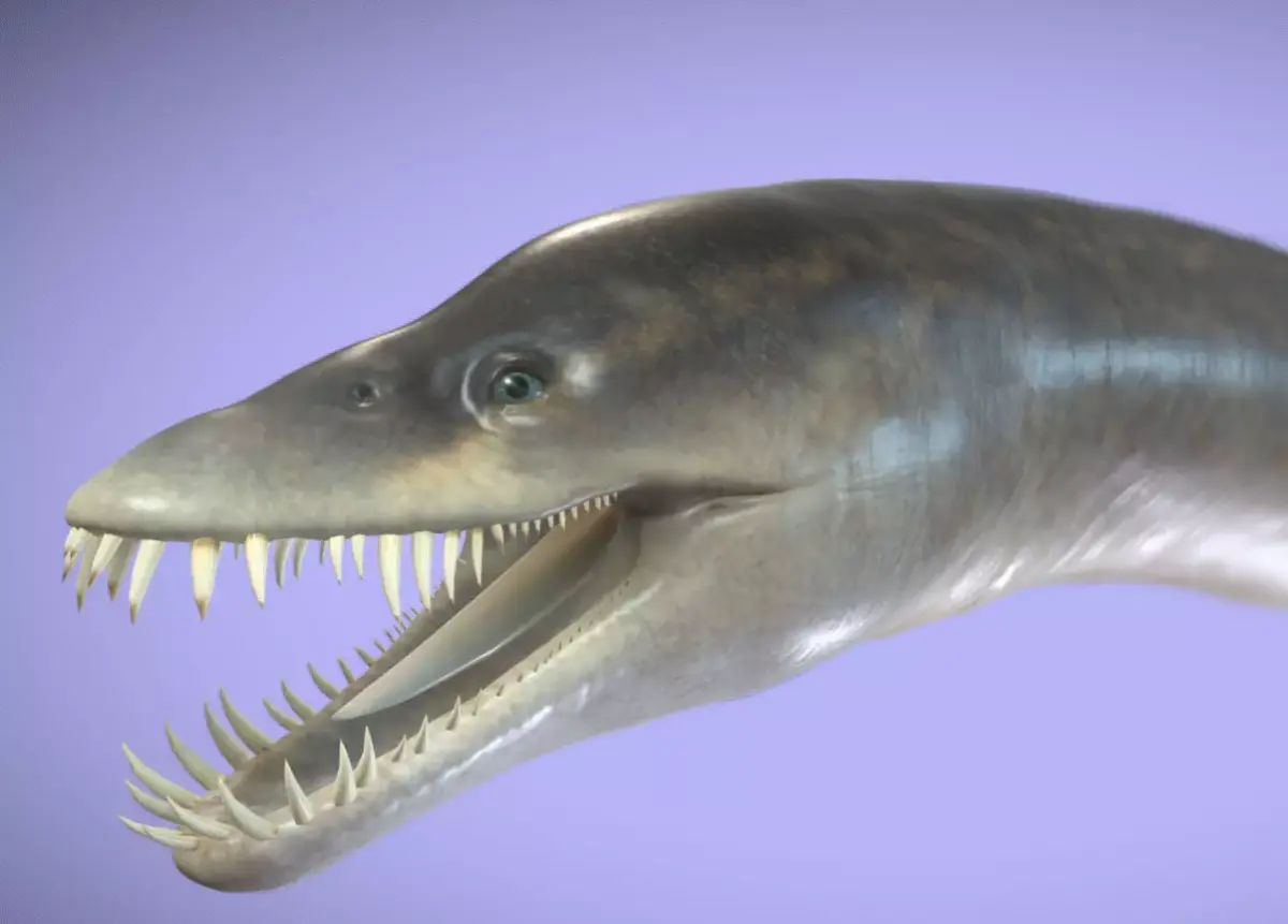 Elasmosaurus Low-poly 3D model