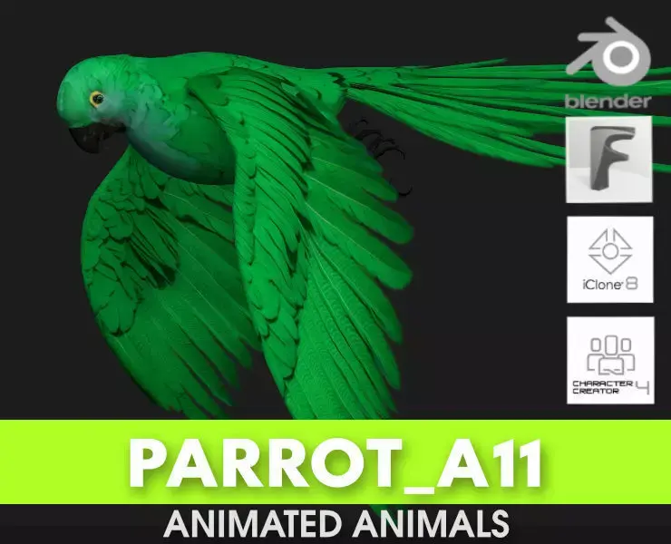 Parrot A11 3D model