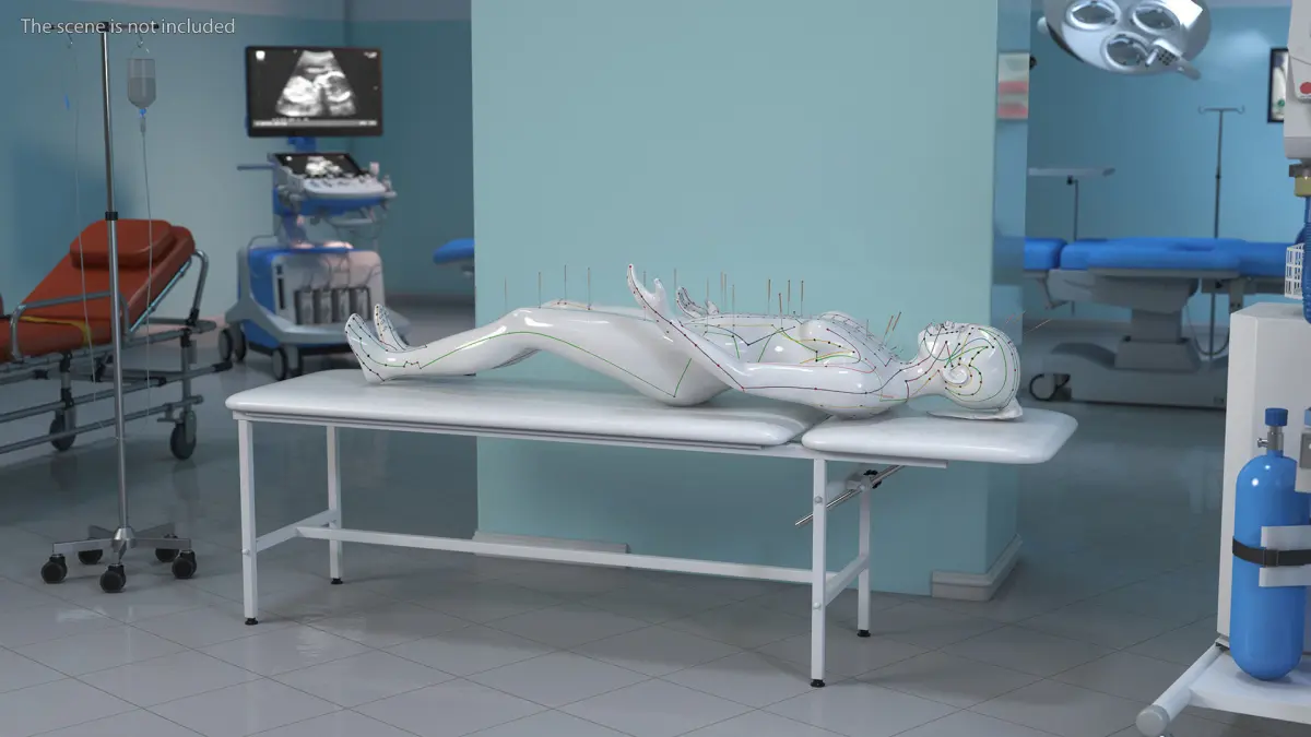 Female Acupuncture Mannequin on the Couch 3D model