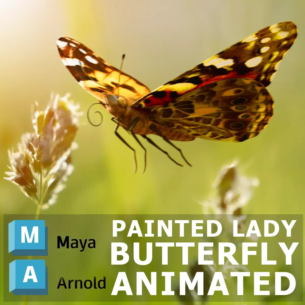 Painted Lady - Butterfly Rig - Animated 3D model