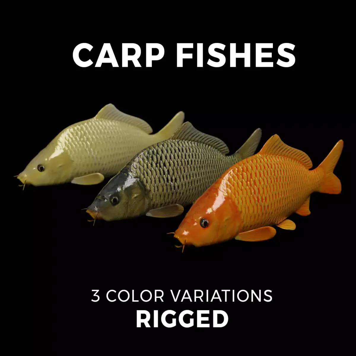 Carp fish Low-poly 3D model purchase