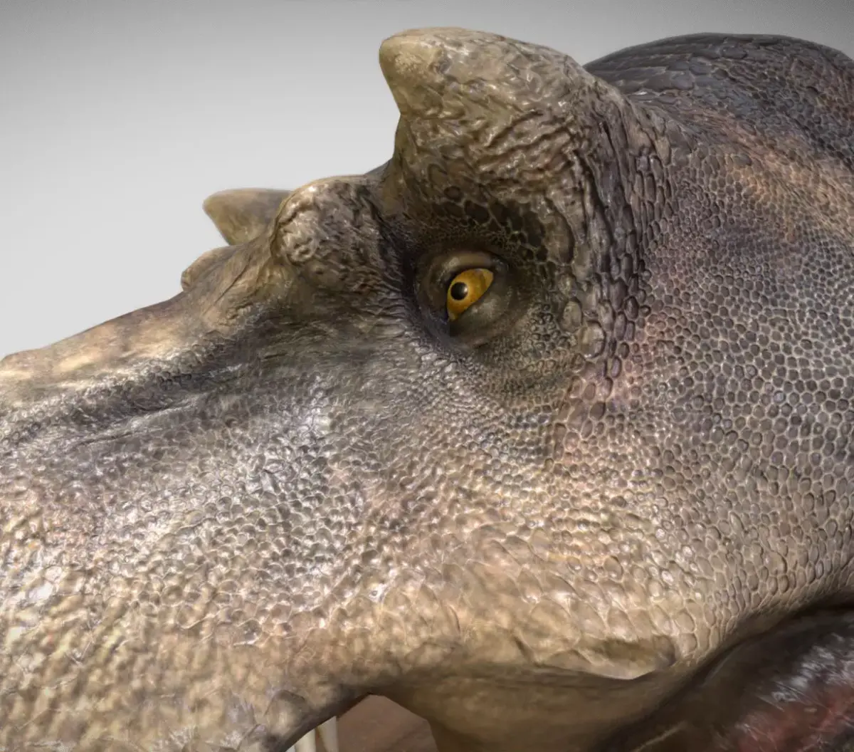 Tyrannosaurus rex Scotty Elder Low-poly 3D model