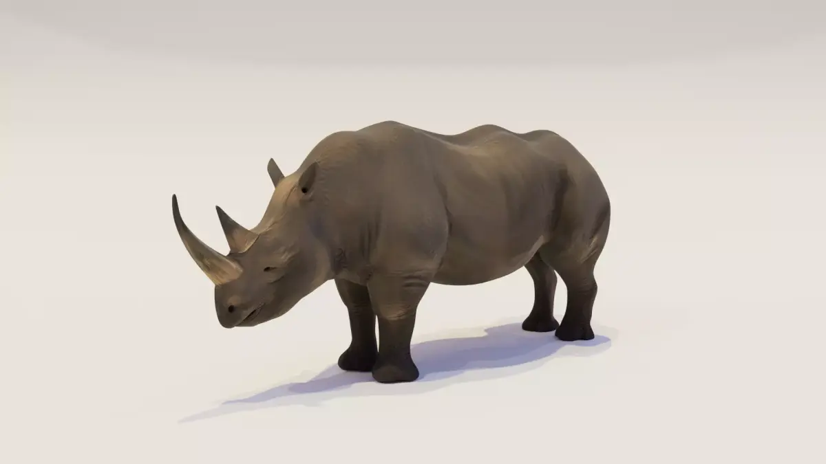 Rhinoceros Low-poly 3D model Low-poly 3D model