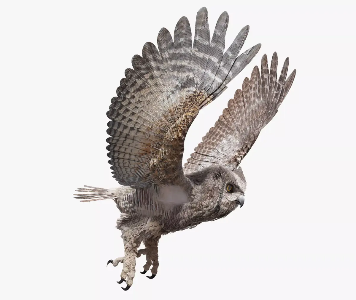Great Horned Owl - Blender Low-poly 3D model