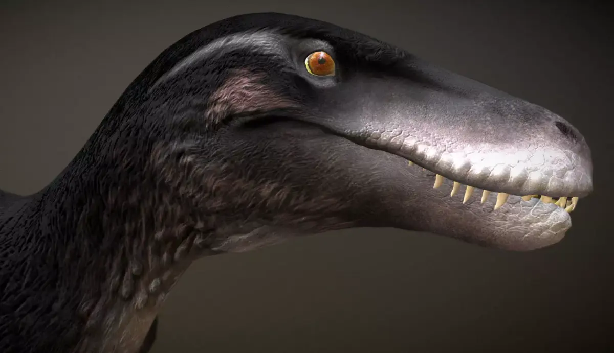 Utahraptor Low-poly 3D model