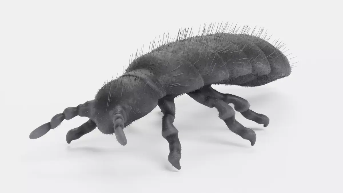 -Snow Flea- 3D model