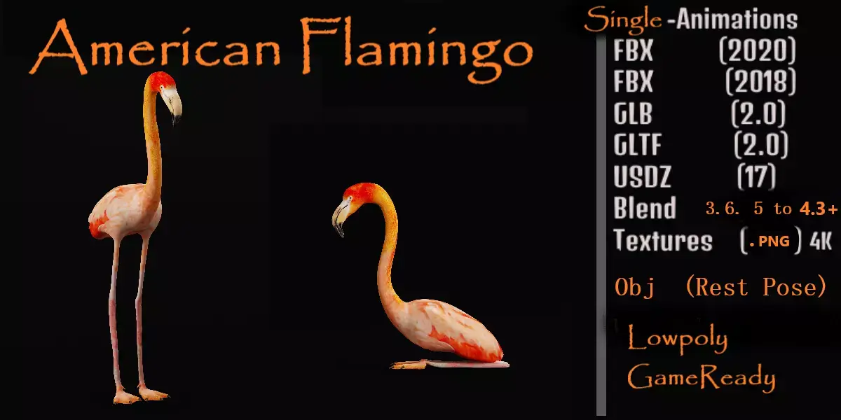 American Flamingo Bird Low-poly 3D model