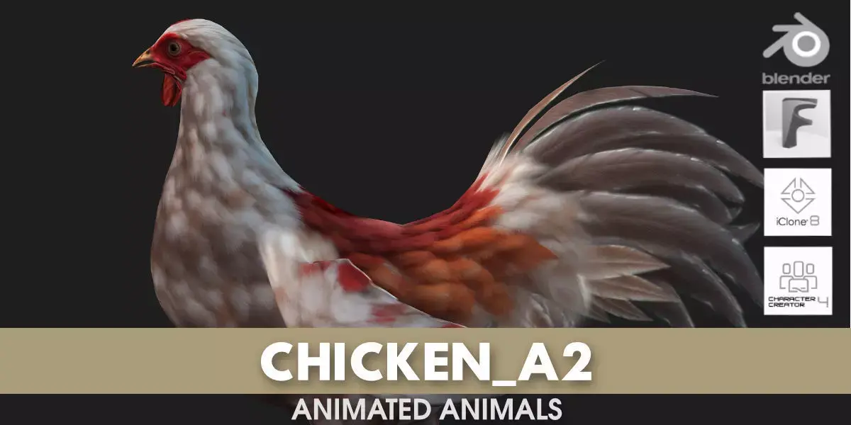 Chicken A2 3D model