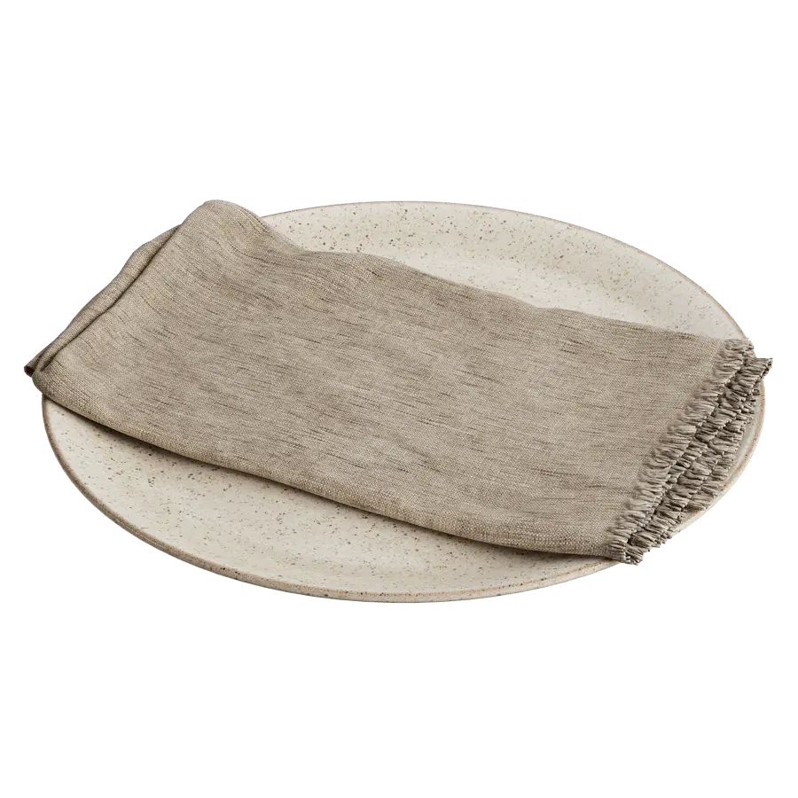  Napkin and Ceramic Plate Model 