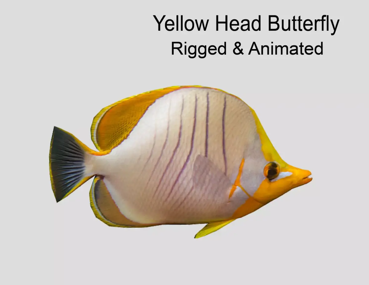 Yellow Head Butterfly fish Low-poly 3D model