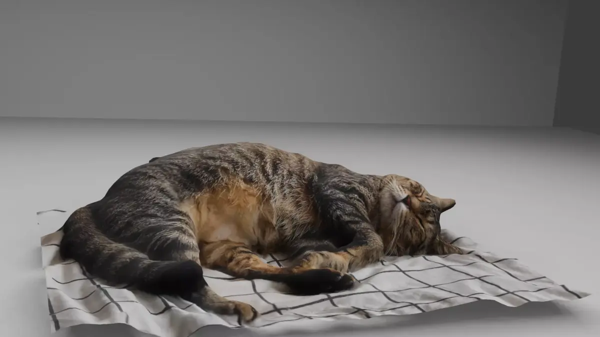 sleeping Cat Low-poly 3D model
