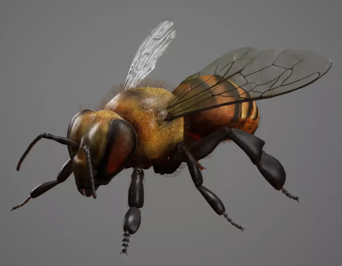 Bee Rig 3D model