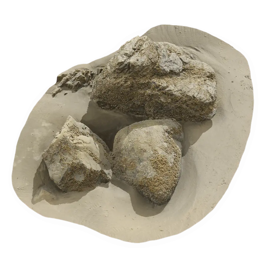  Lichen Covered Beach Rock Cluster Model  purchase
