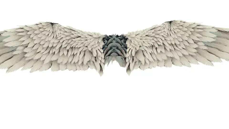Wing angel 3d model Low-poly 3D model