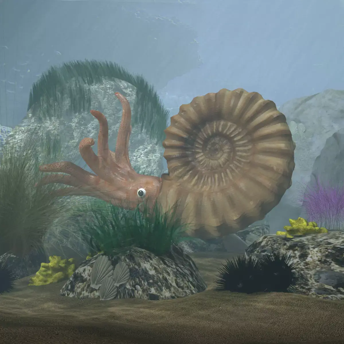 Ammonite with complete underwater scene Low-poly 3D model