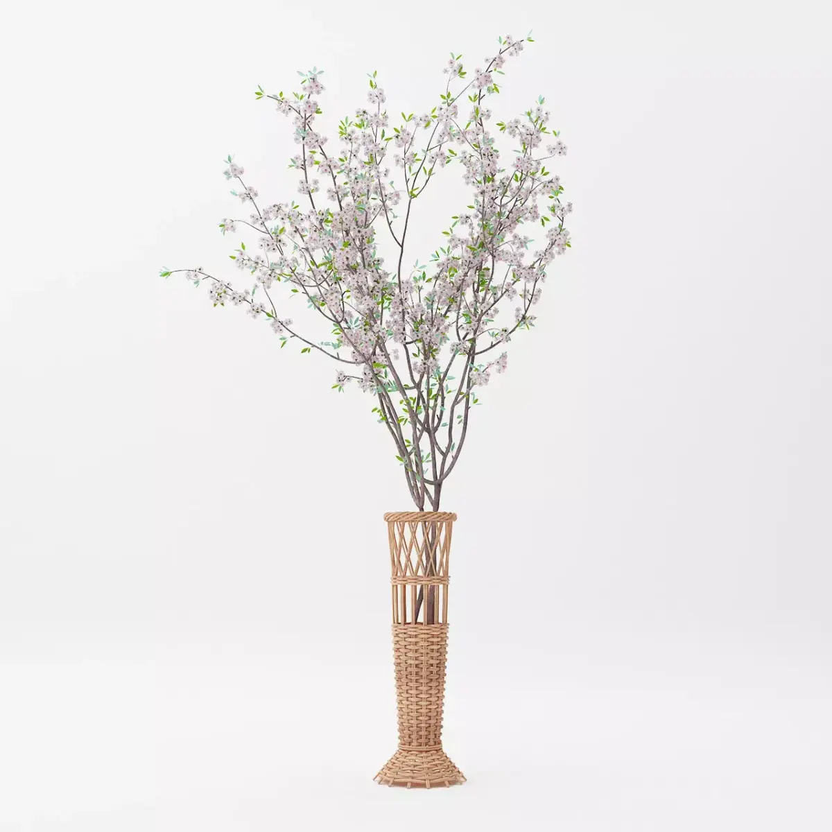 Basket Vase and Sakura Flower Free 3D model