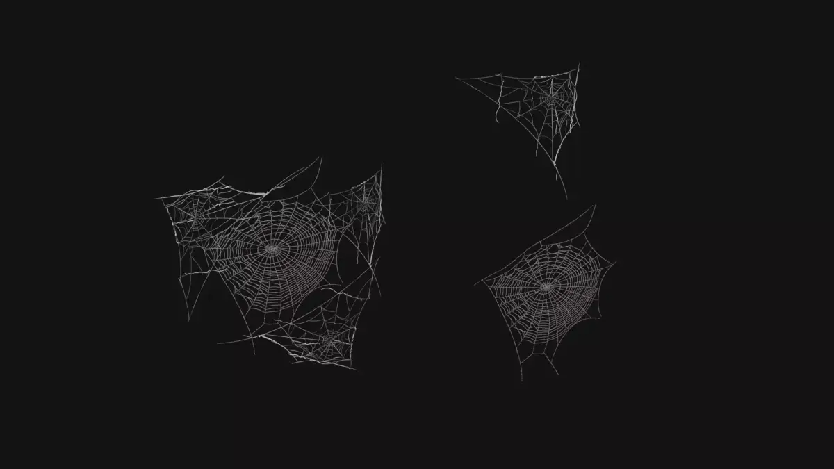 Spider Webs 3D Model Low-poly 3D model