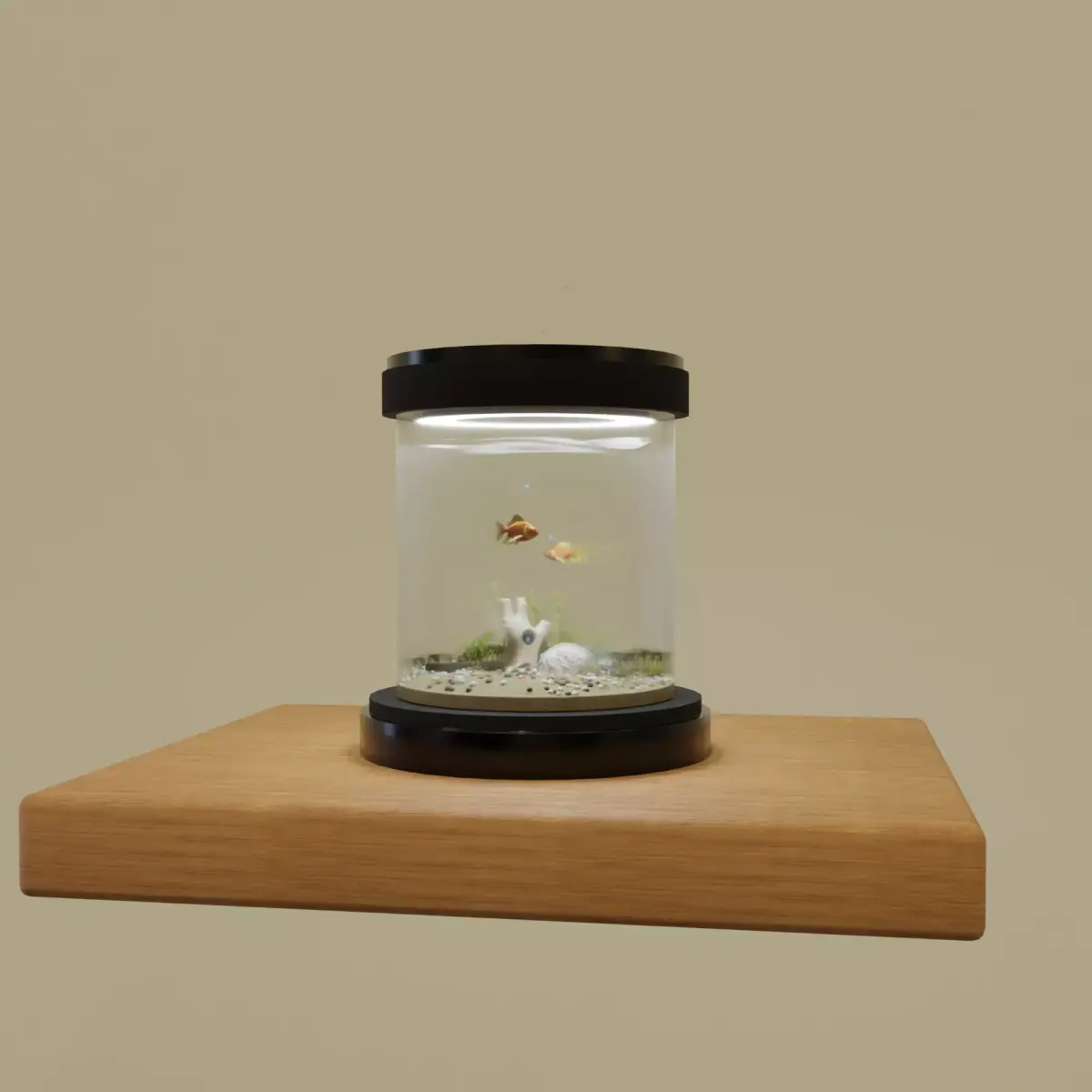 Fish Tank 3D model get
