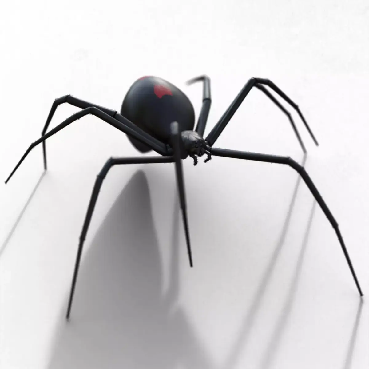 Black widow Low-poly 3D model buy