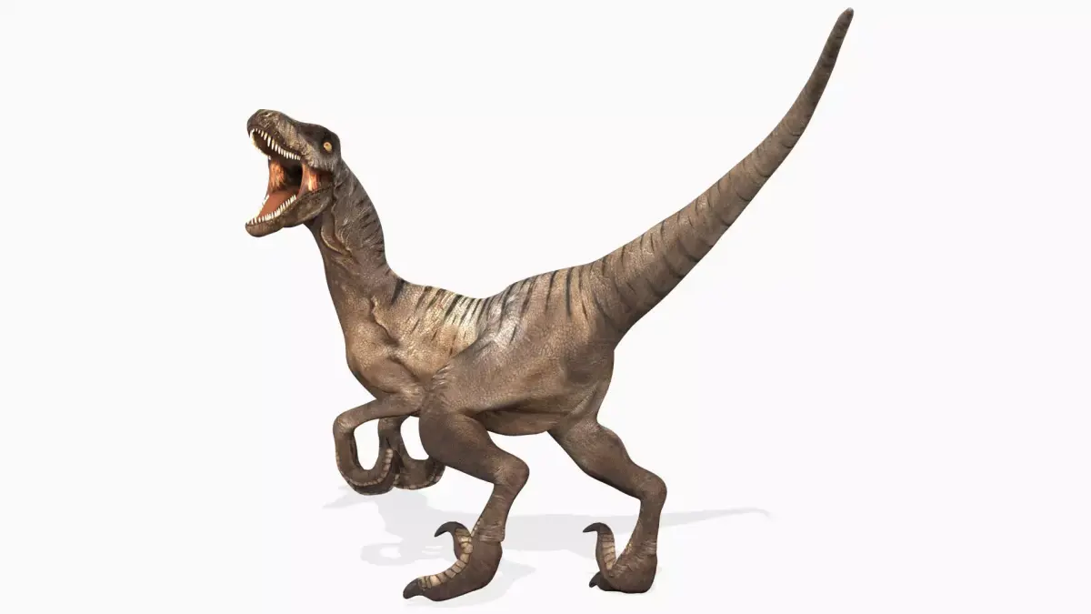 Velociraptor Low-poly 3D model 3