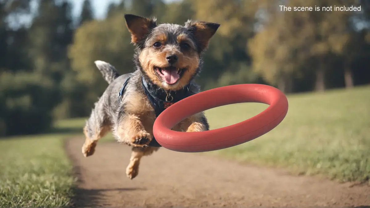 Ring Dog Toy Package 3D model