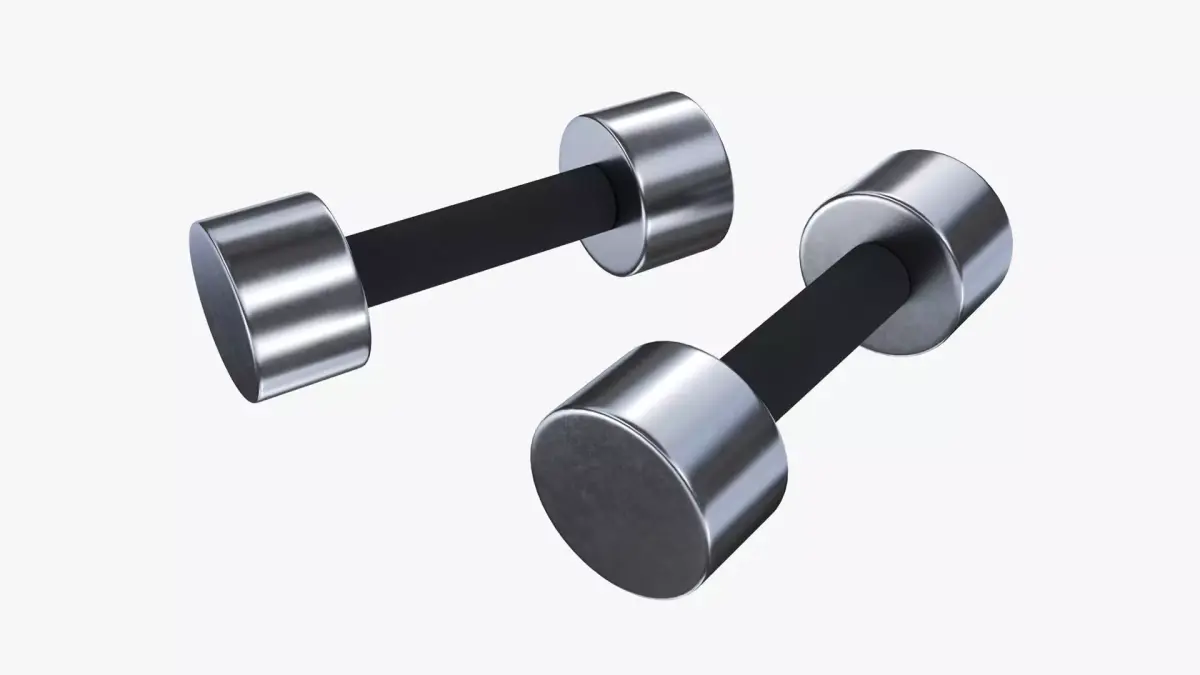 Dumbbell pair 3D model